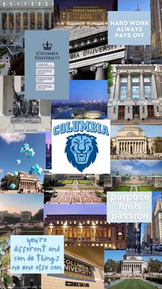 the collage shows many different buildings, including one building with a lion on it