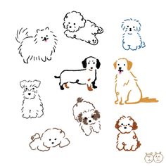 various dogs and puppies are drawn in different colors