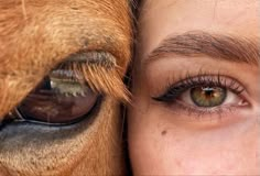 a close up of a woman's eye with a horse behind her