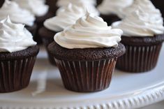 chocolate cupcakes with white frosting on a plate