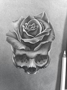 a pencil drawing of a skull with a rose on it