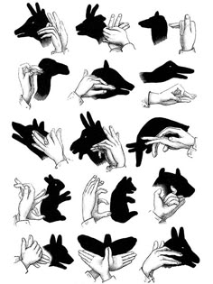 an image of hands doing different things in black and white ink on paper, with one hand holding the other's head