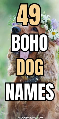 a dog with flowers on its head and the words, 47 boho dog names