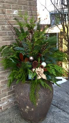 a large potted plant sitting on the side of a building with evergreen and other plants in it