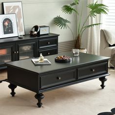 a living room filled with furniture and a potted plant on top of a coffee table