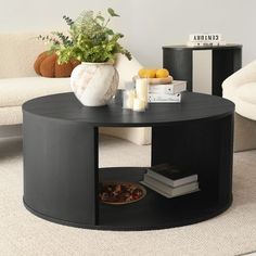 a black coffee table with some books and a potted plant on top of it