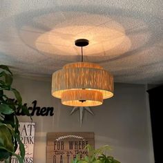 a chandelier hanging from the ceiling in a room with plants and pictures on the wall