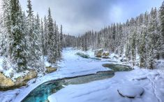 a river running through a snow covered forest next to tall pine trees on a cloudy day