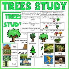 a tree study with pictures and words to help students understand the different types of trees