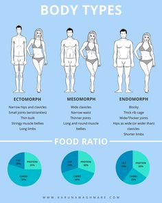 Foods For Endomorph, Ectomorph Endomorph Mesomorph, Food For Endomorph Body Type, Endomorph Macros Women, Ectomorph Diet Plan, Sports Body Types, Endomorph Celebrities Women, Endomorph Foods To Eat, Mesomorph Outfits