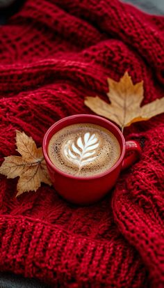 a cup of cappuccino on top of a red blanket next to two maple leaves