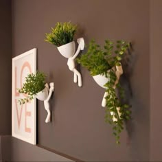 two white vases with plants hanging on the wall