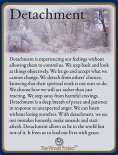 Detachment Quotes, Buddism Quotes, Psychology Quotes, Daily Reading, Daily Reflection, Psychology Facts