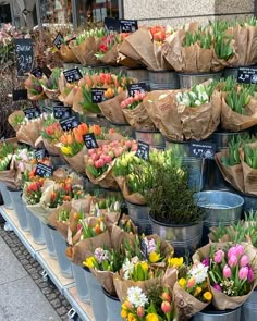 many different types of flowers are on display