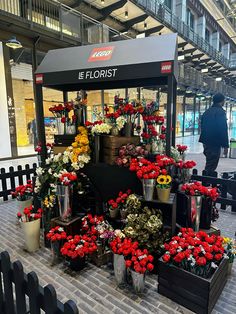 a bunch of flowers that are on display