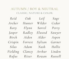 the autumn / boy & neutral typefaces for nature and color, as well as text