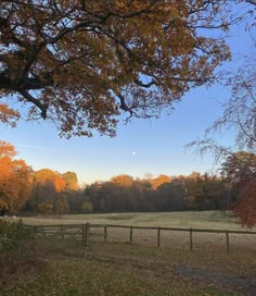 an open field surrounded by trees with fall leaves on the ground and in the distance, there is a wooden fence