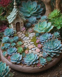 there is a small house surrounded by succulents