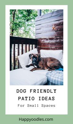 a dog laying on top of a bed next to a wooden fence with text overlay that reads, dog friendly patio ideas for small spaces