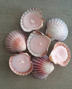 five seashells with pink wax in them on a table