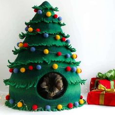 a cat in a christmas tree shaped house