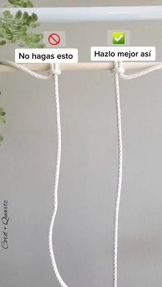 two white cords connected to each other on a wall next to a potted plant