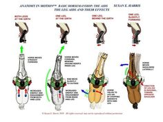 an image of different types of foot reflexs and how they are used to treat them