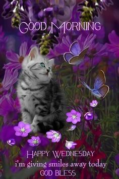 a kitten is sitting in the middle of purple flowers with butterflies flying around it, saying good morning