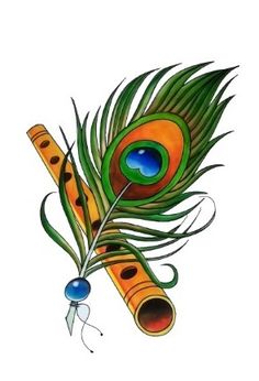 a drawing of a peacock's feather and its feathers are green, orange, and blue