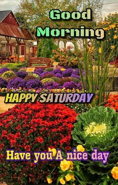 an image of flowers and plants in the garden with good morning greetings on it