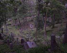 a cemetery in the middle of a forest filled with tombstones and trees at night