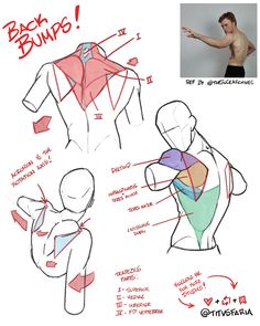 how to draw the back and upper half of a man's body