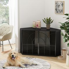 a dog laying on the floor in front of a black cabinet and potted plant