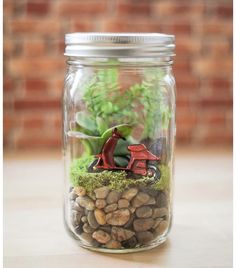 a mason jar filled with rocks and plants