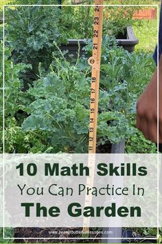 a garden plot with the words 10 math skills you can practice in the garden