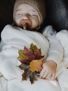 a baby sleeping in a car seat with a leaf on it