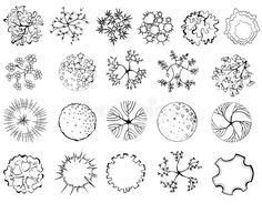 the top view of different types of plants and flowers in black and white stock photo