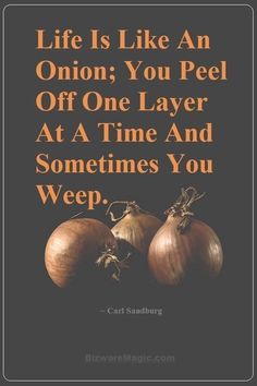 three onions with the words life is like an onion you peel off one layer at a time and sometimes you weep