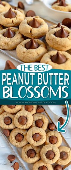 the best peanut butter blossom cookies are made with chocolate chips and then topped with marshmallows