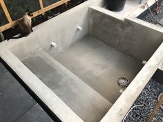 a cat sitting in the middle of a concrete sink with no faucet on it