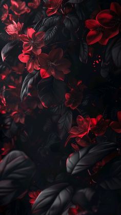 red and black flowers are in the dark