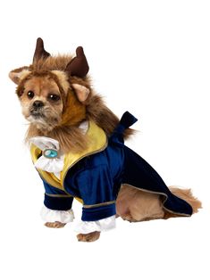 Beauty and the Beast Pet Costume - costumes.com Quinceanera Beauty And The Beast, Disney Dog Costume, Beauty And The Beast Quince, Costumes For Cats, Dog Swag, Beauty And Beast Birthday, Dog Treats Recipes, Beauty And Beast Wedding, Dog Room Ideas