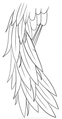 a drawing of an eagle's wing with long tail feathers and claws on it