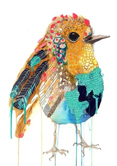 a colorful bird with feathers on it's back