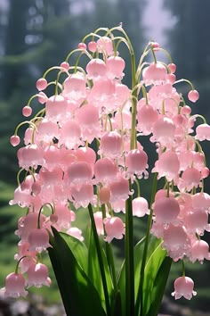 pink flowers in a vase with water droplets on them