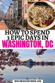 the washington dc skyline with cherry blossom trees in bloom and text overlay reads how to spend 3 epic days in washington, dc