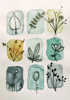 watercolor and ink drawings of different plants