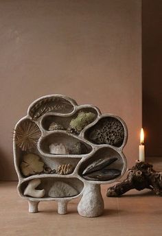 a candle is lit in front of a display of rocks and seashells on a table