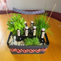 a tray filled with beer bottles sitting on top of a table next to plants and rocks