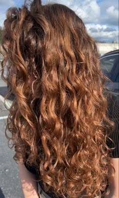 Light Brown Copper Curly Hair, Auburn Brown Hair Curly, Amber Brown Curly Hair, Naturally Curly Auburn Hair, Long Chestnut Hair, Orange Brown Curly Hair, Auburn Curly Hair With Highlights, Light Brown Hair With Copper And Blonde Highlights, Curly Hair Copper Brown